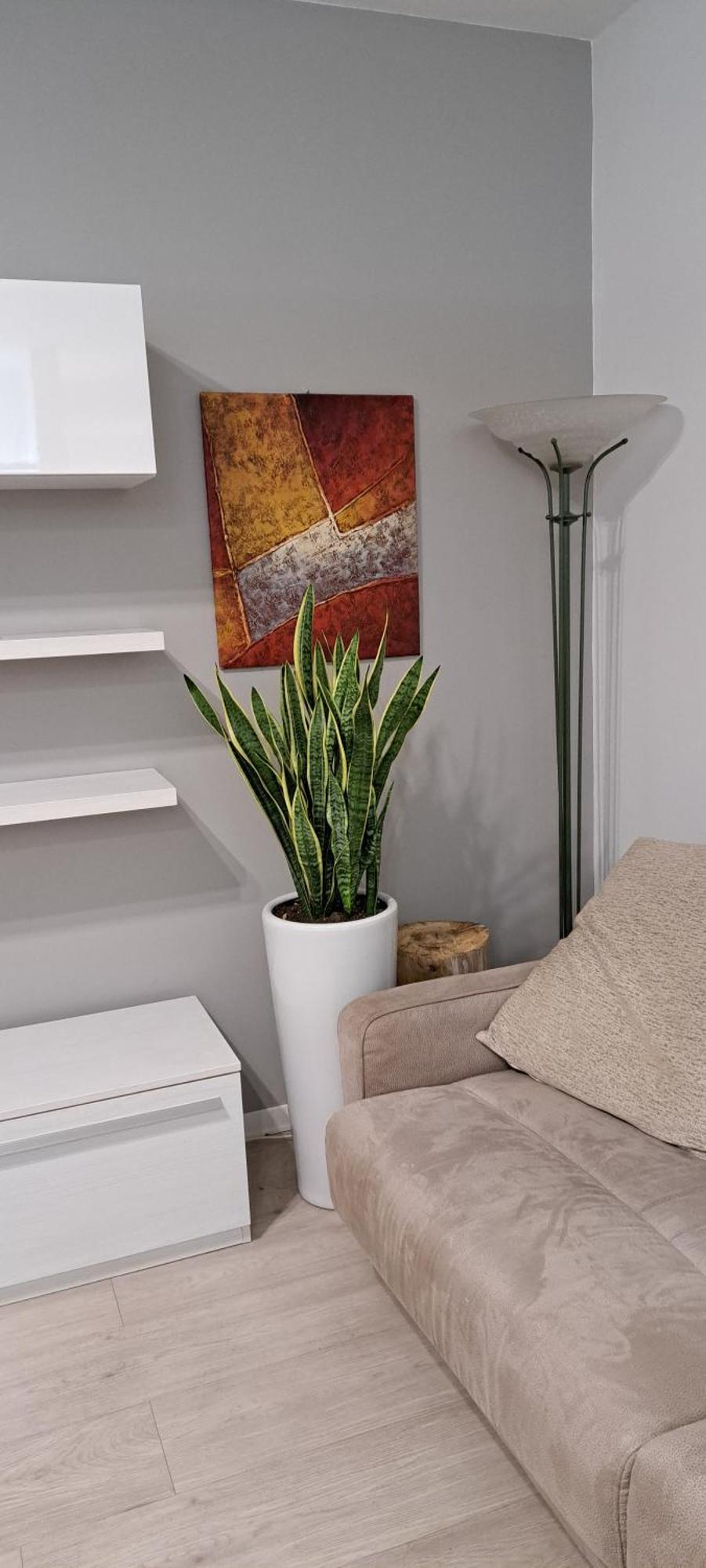 Marco Venice Apartment מראה חיצוני תמונה